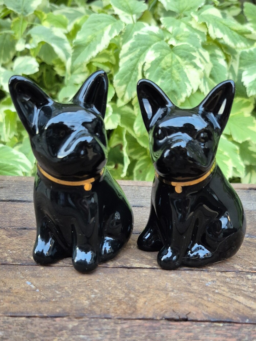 Glossy Black French Bulldog Salt & Pepper Shakers Set